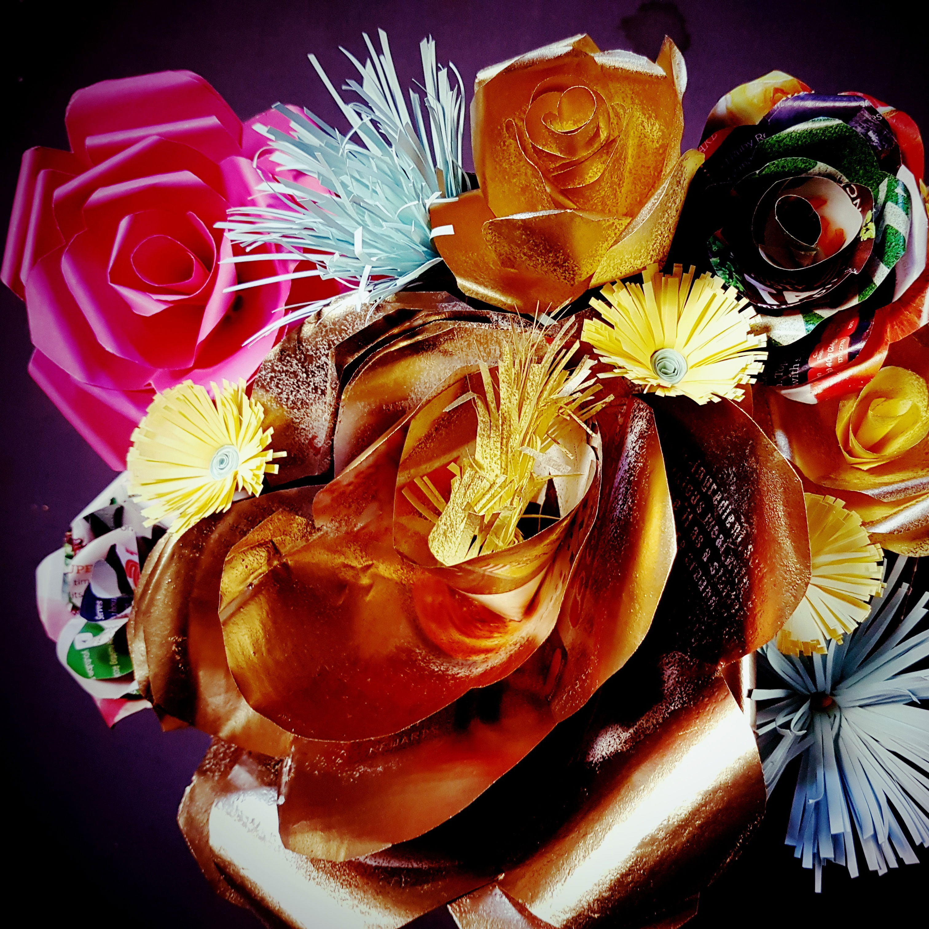 Madeleine Challender - Illuminated Image